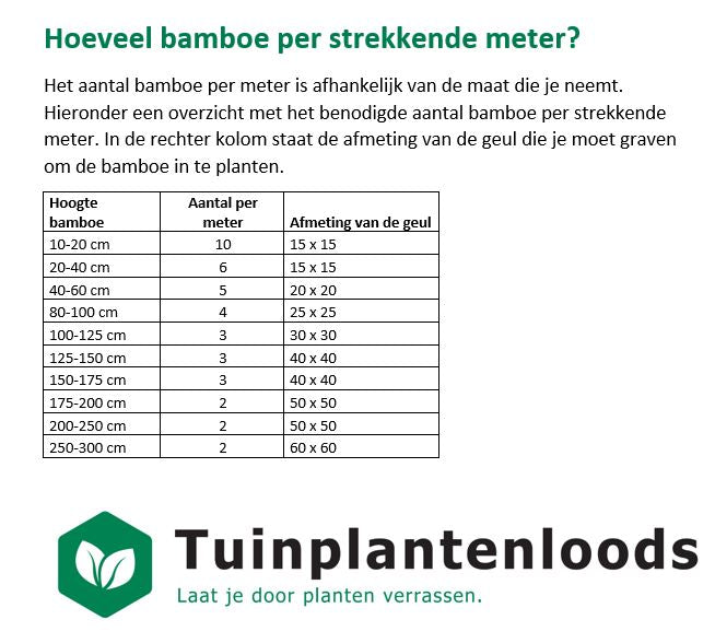 Hoeveel bamboe per strekkende meter?