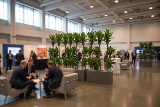 HUUR: Dracaena fragrans ‘Burundii’ – Kanarische draakboom in Fiberstone