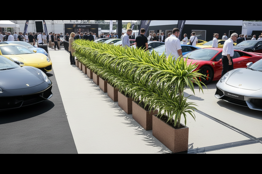 HUUR: Dracaena fragrans 'Lemon Lime' in Baq Terrazzo